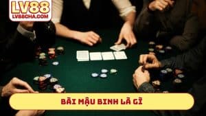 bai-mau-binh-la-gi